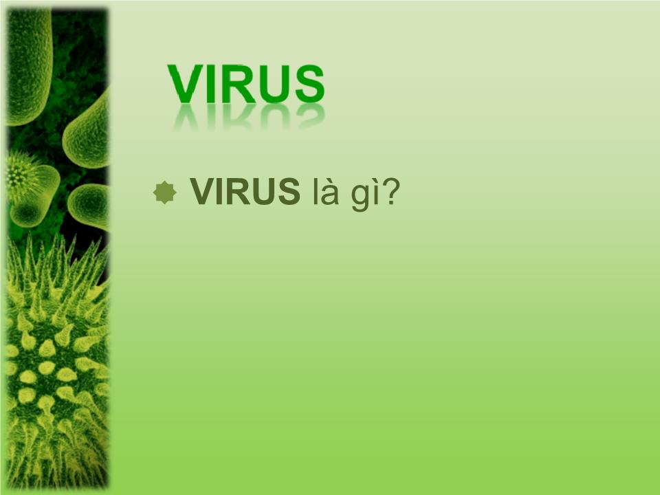 Bài thuyết trình - Chủ đề: Virus trang 3