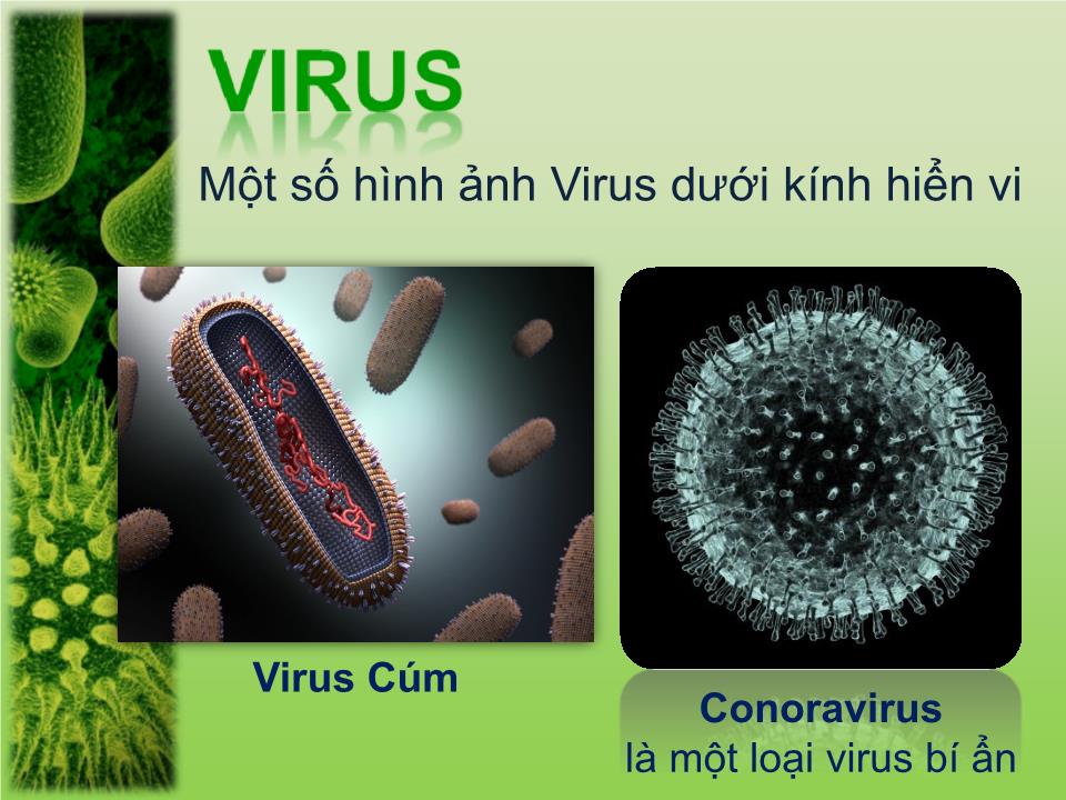 Bài thuyết trình - Chủ đề: Virus trang 6