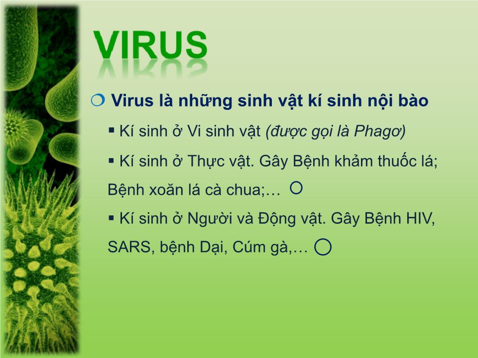 Bài thuyết trình - Chủ đề: Virus trang 8