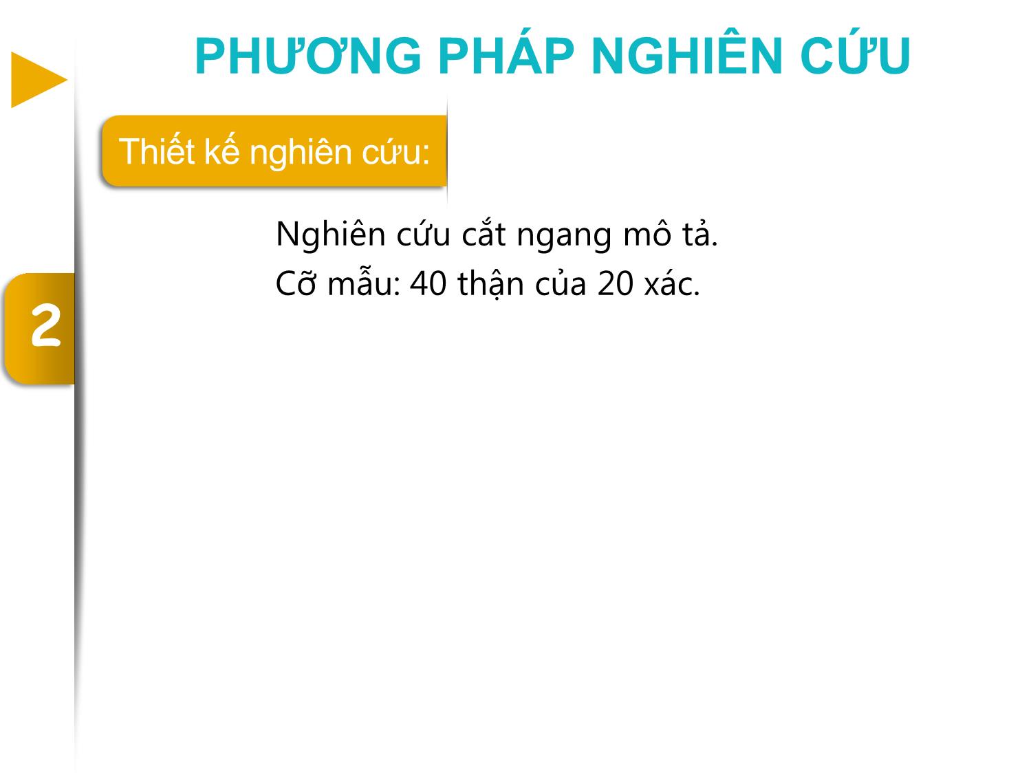 Một số đặc điểm giải phẫu động mạch thận đoạn ngoài nhu mô ở người Việt Nam trang 5