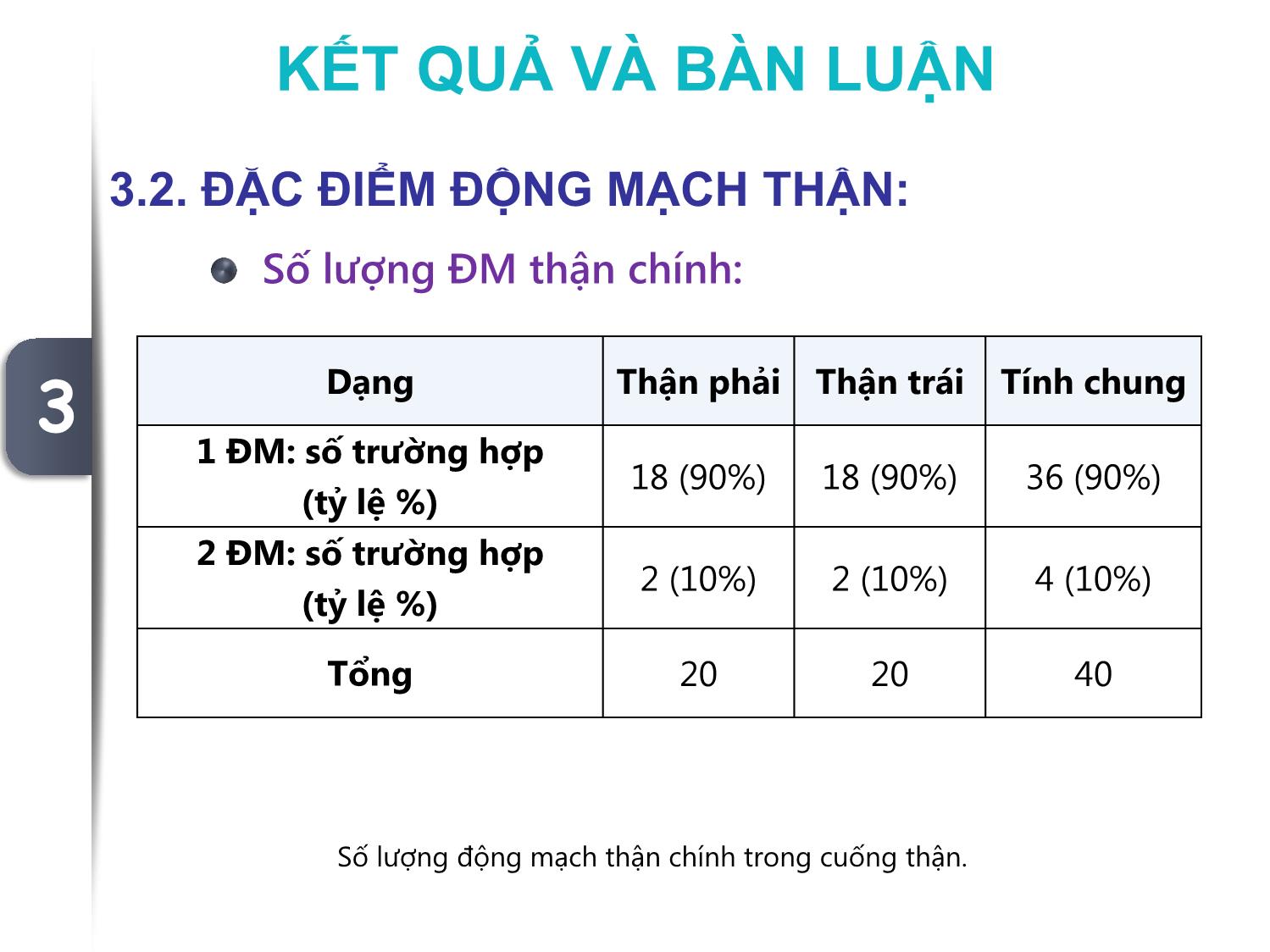 Một số đặc điểm giải phẫu động mạch thận đoạn ngoài nhu mô ở người Việt Nam trang 9