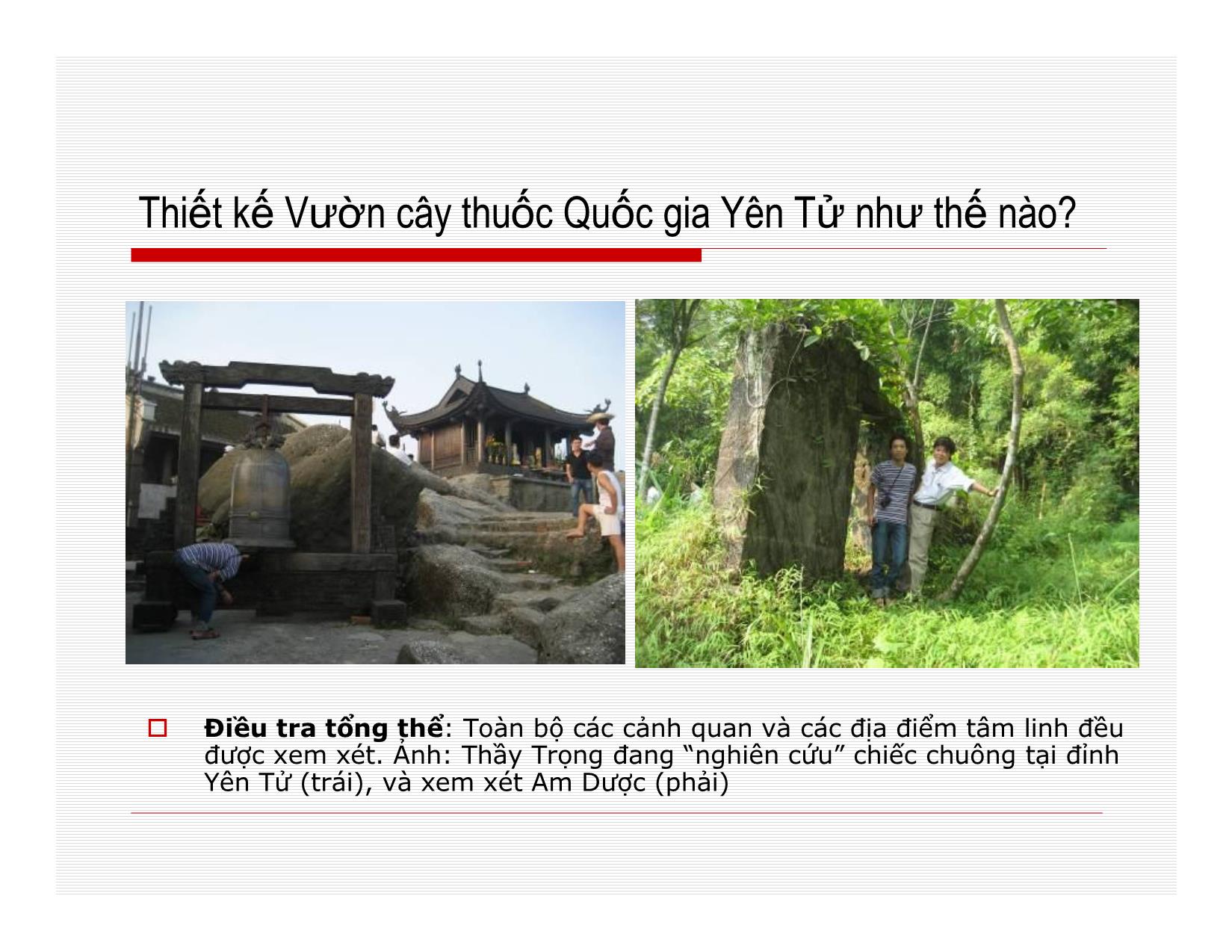 Đề án Vườn cây thuốc Quốc gia Yên Tử trang 10