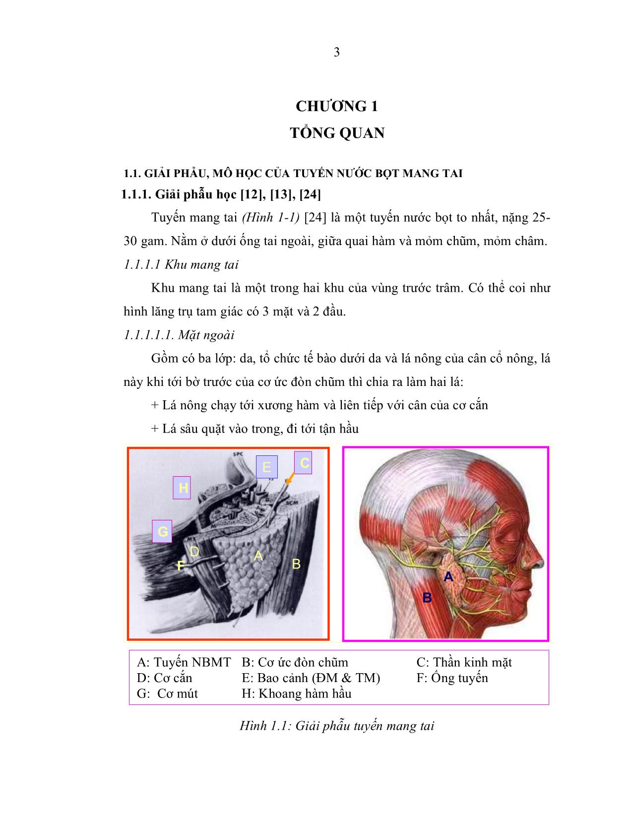 Nghiên cứu chẩn đoán và điều trị phẫu thuật u tuyến nước bọt mang tai trang 3