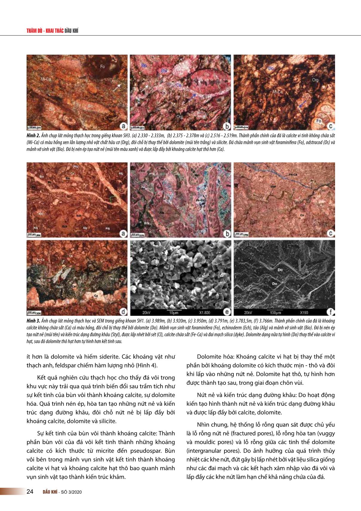 Đặc điểm thạch học và sự phân bố của trùng lỗ trong đá vôi permian phía nam lô 106, bể sông Hồng trang 3