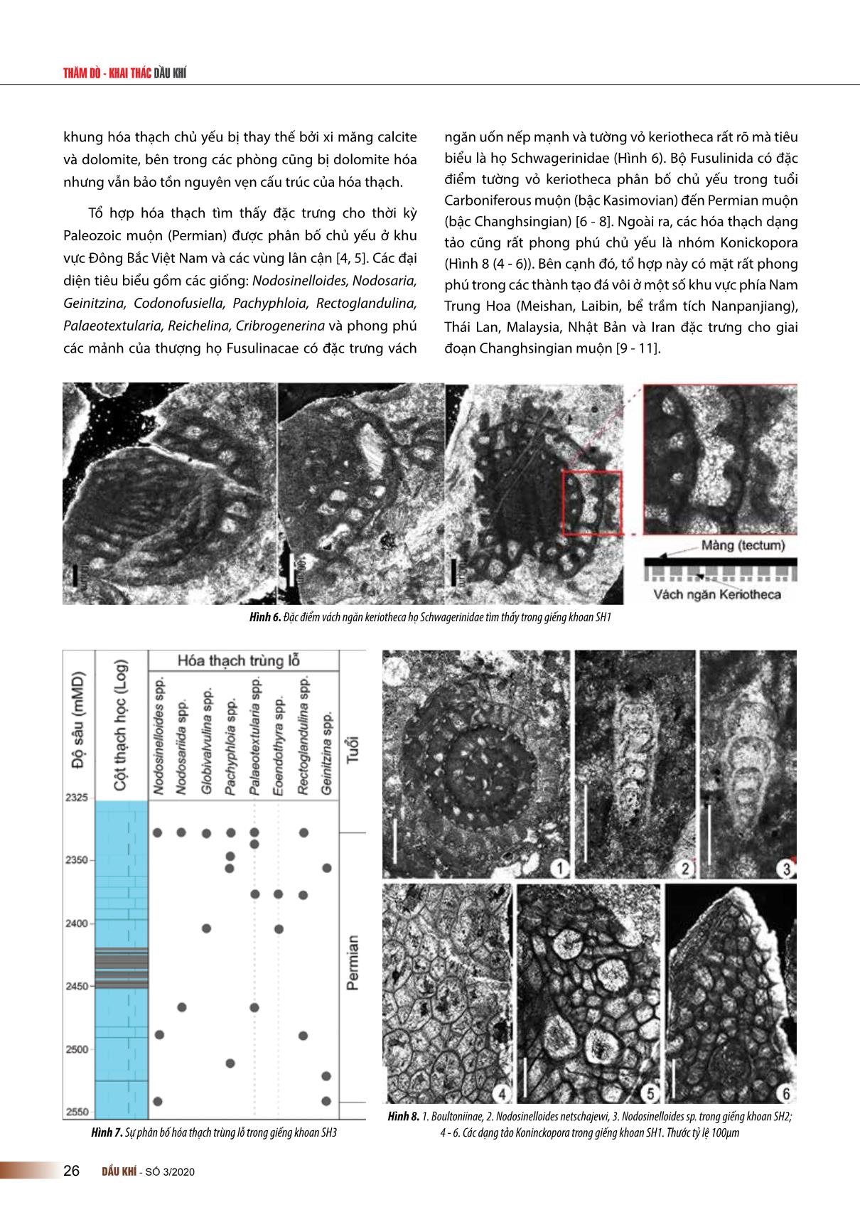 Đặc điểm thạch học và sự phân bố của trùng lỗ trong đá vôi permian phía nam lô 106, bể sông Hồng trang 5