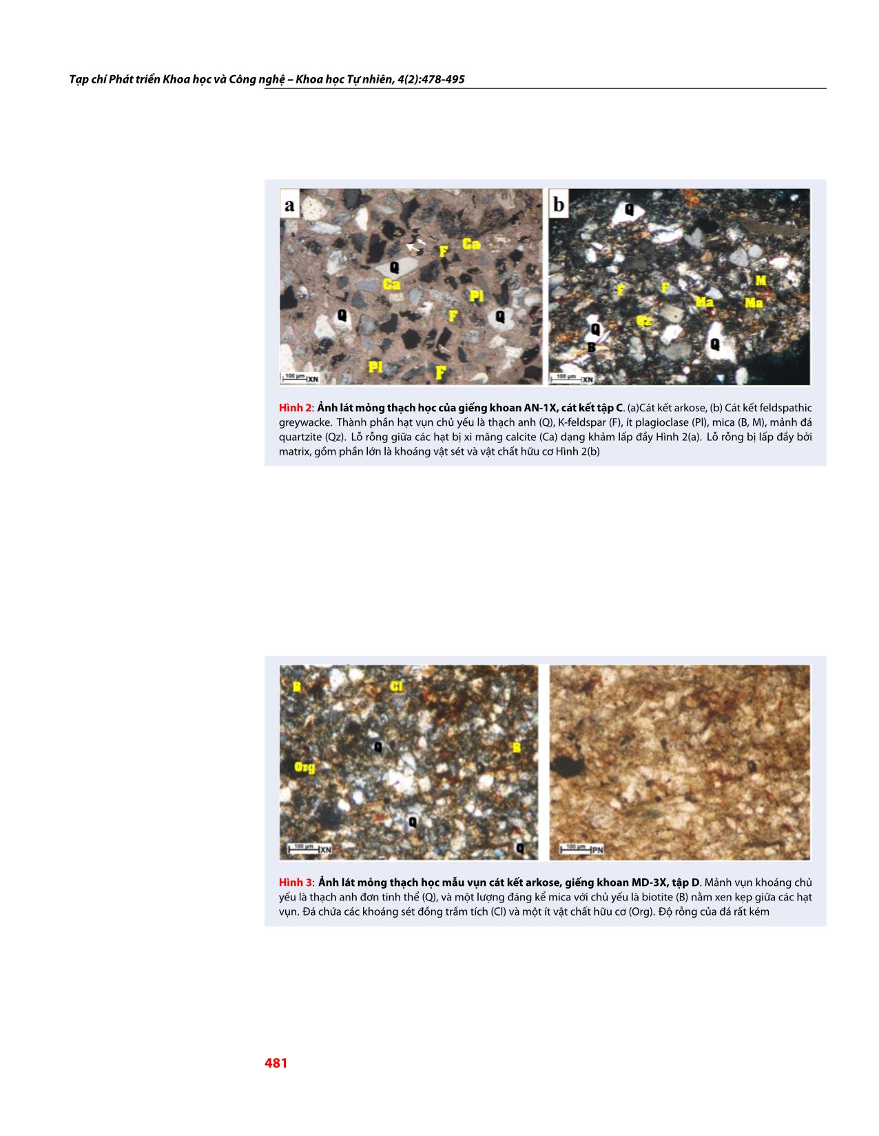 Đặc tính thạch học và biến đổi sau trầm tích ảnh hưởng đến độ rỗng và độ thấm của cát kết Oligocene, lô 15-1/05, bể Cửu Long trang 4