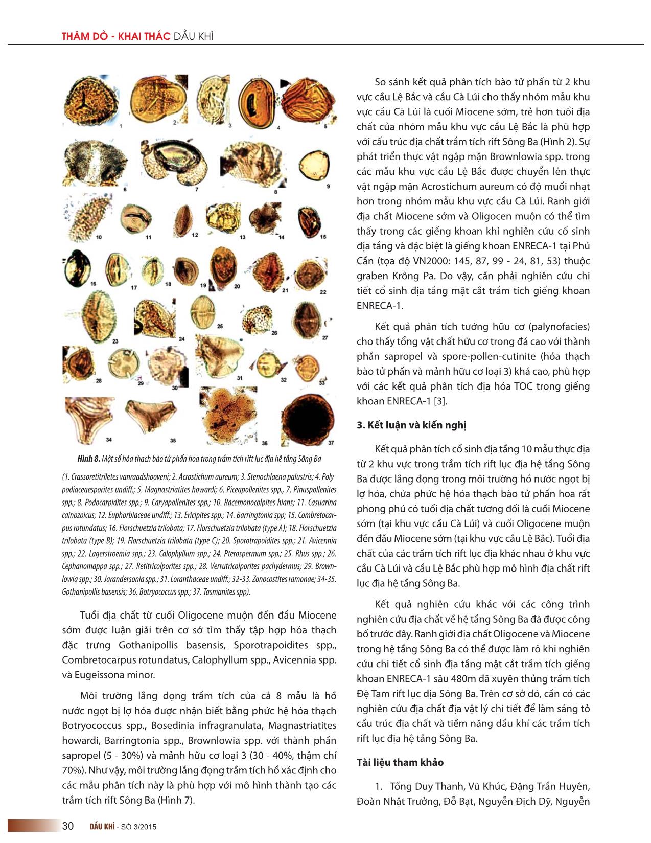 Phức hệ hóa thạch bào tử phấn hoa trong trầm tích rift lục địa hệ tầng sông ba trang 4