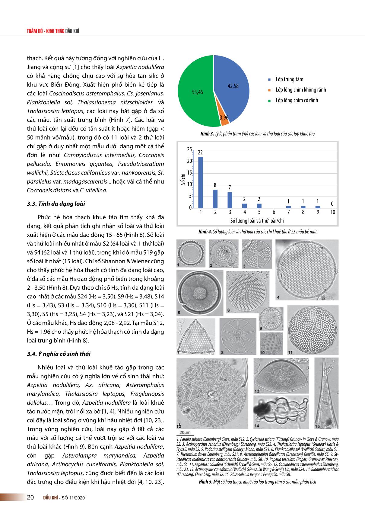 Phức hệ hóa thạch khuê tảo trong các trầm tích bề mặt đáy biển ở khu vực Đông Nam bể Nam Côn Sơn trang 4