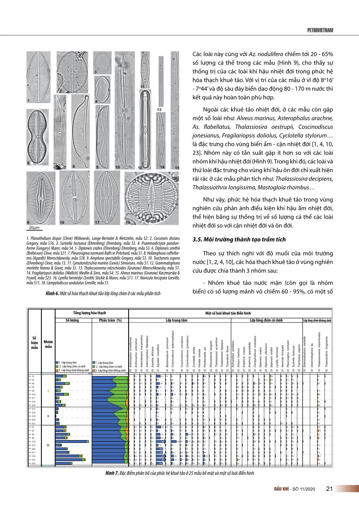 Phức hệ hóa thạch khuê tảo trong các trầm tích bề mặt đáy biển ở khu vực Đông Nam bể Nam Côn Sơn trang 5