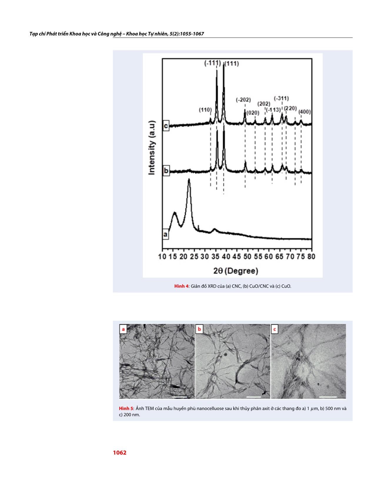 Tổng hợp và khảo sát hoạt tính xúc tác Fenton quang hóa của vật liệu tổ hợp giữa nanocellulose và CuO trang 8