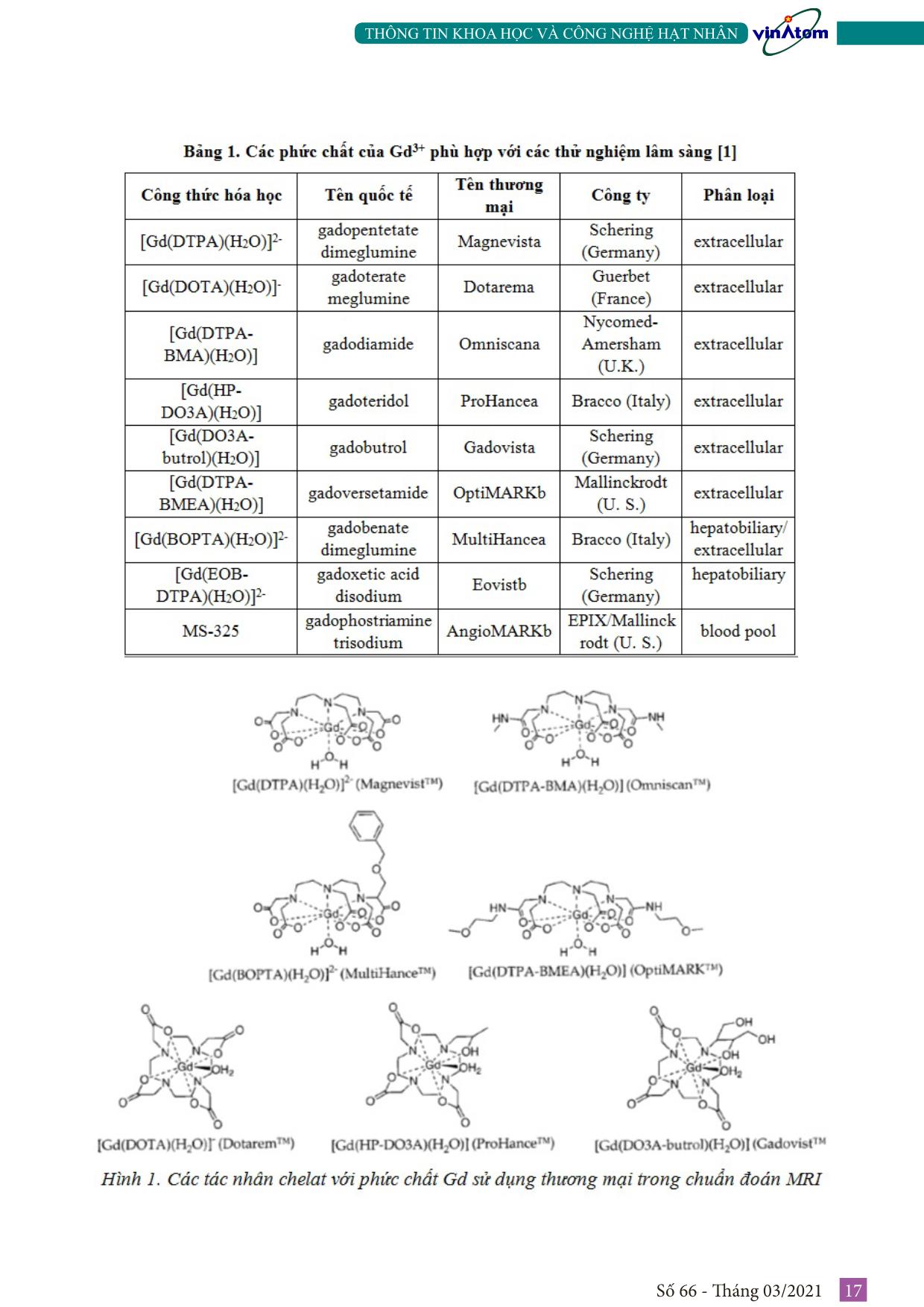 Tổng quan nghiên cứu tổng hợp hạt nano Chitosan-Polyacrylat chứa Gd-DTPA ứng dụng cho ảnh cộng hưởng từ trang 2