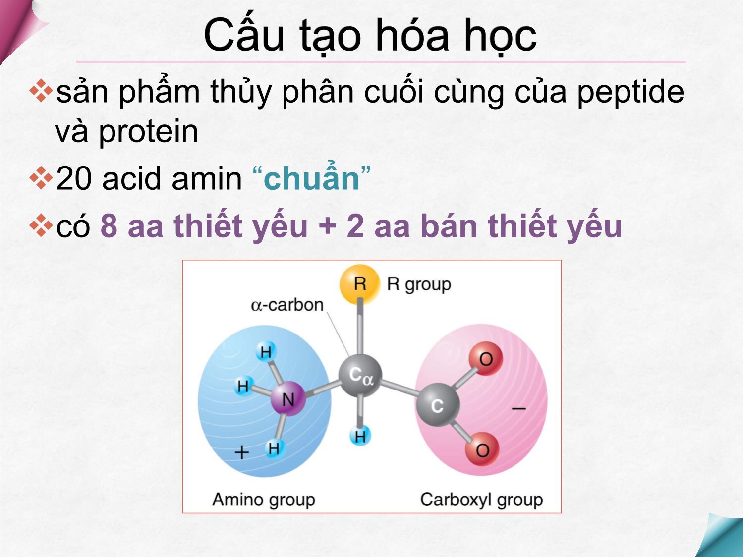 Bài giảng Hóa sinh - Chương 7: Cấu trúc acid amin và protein trang 8