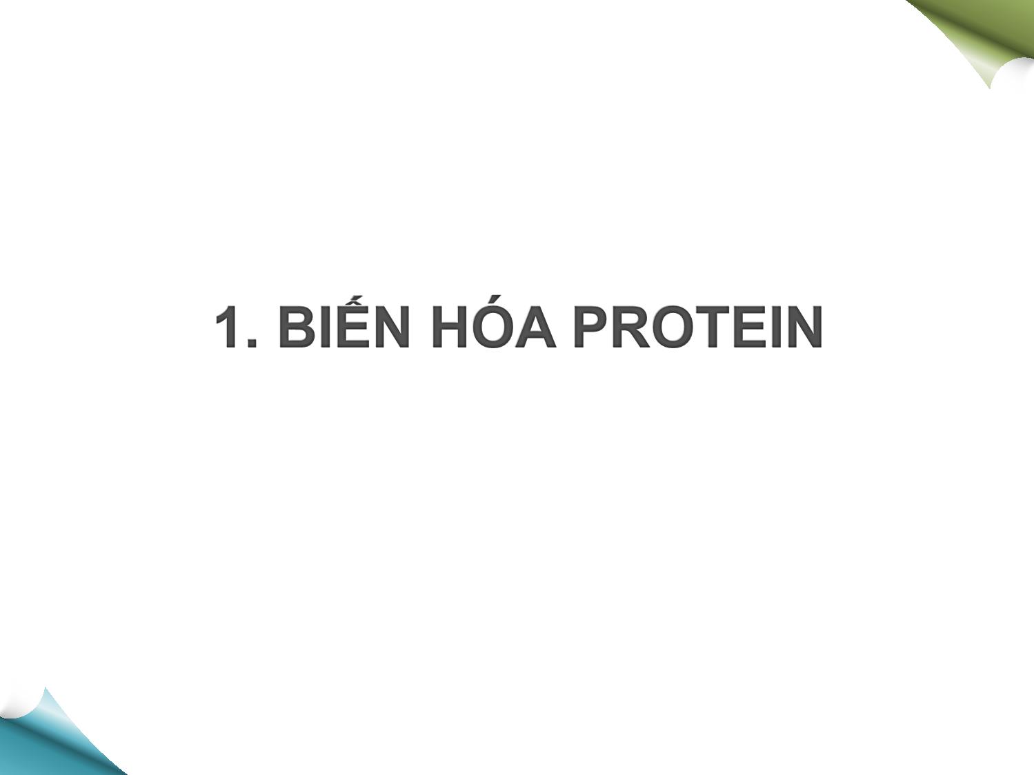 Bài giảng Hóa sinh - Chương 8: Chuyển hóa protein và acid amin trang 2