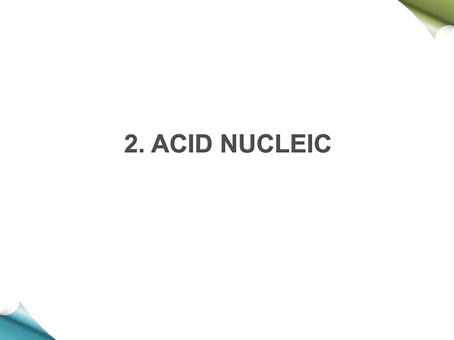 Bài giảng Hóa sinh - Chương 9: Hóa học acid Nucleic trang 6