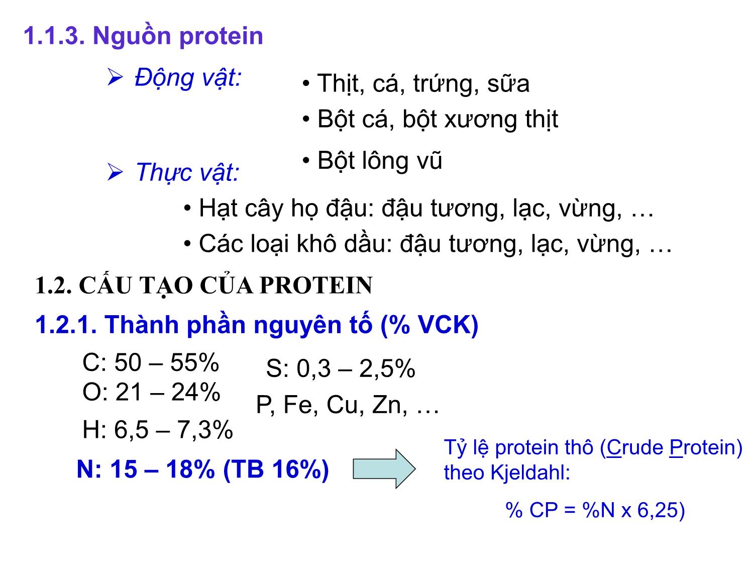 Bài giảng Hóa sinh đại cương - Chương 1: Protein trang 5
