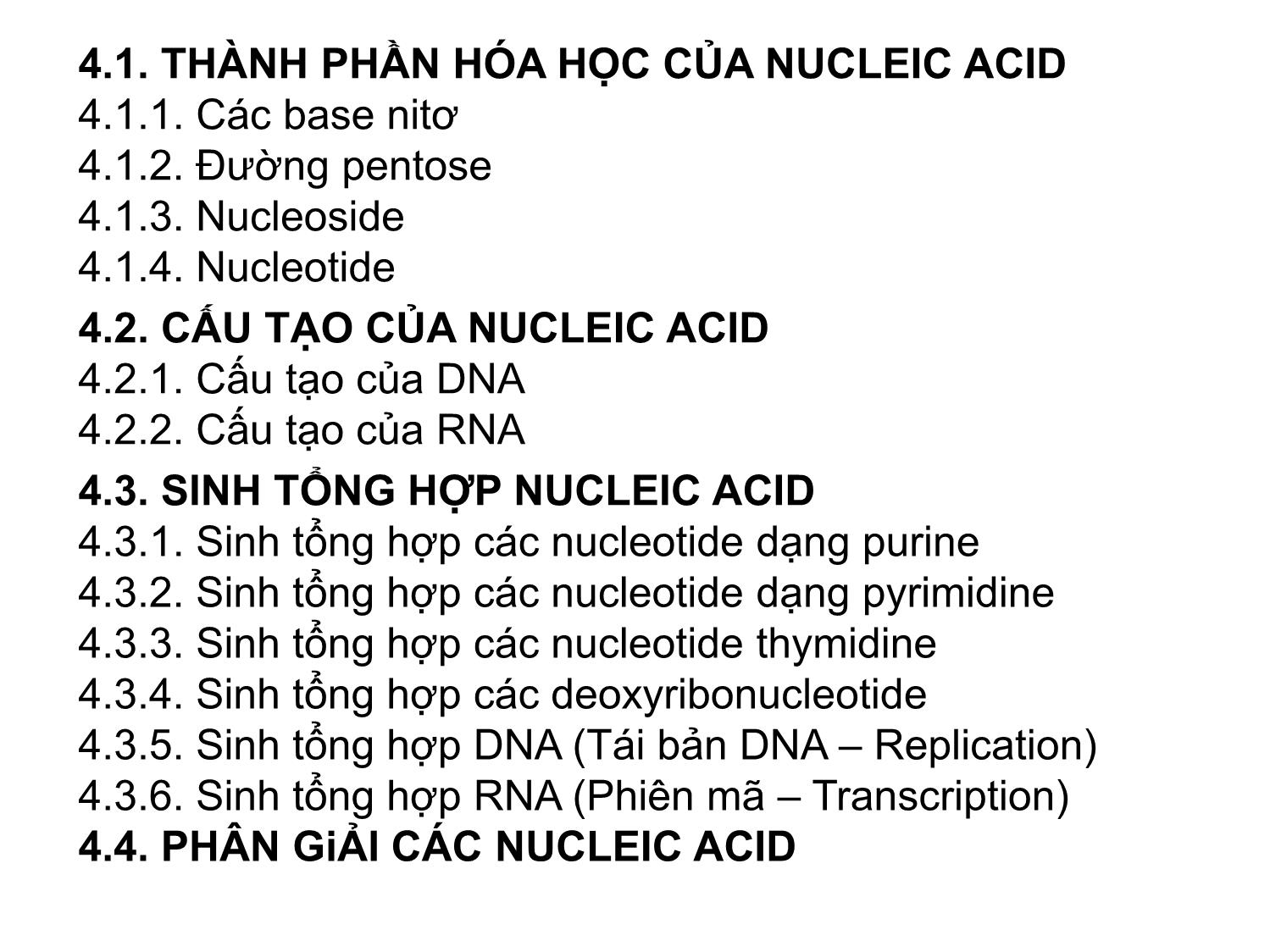 Bài giảng Hóa sinh đại cương - Chương 4: Acid nucleic trang 3