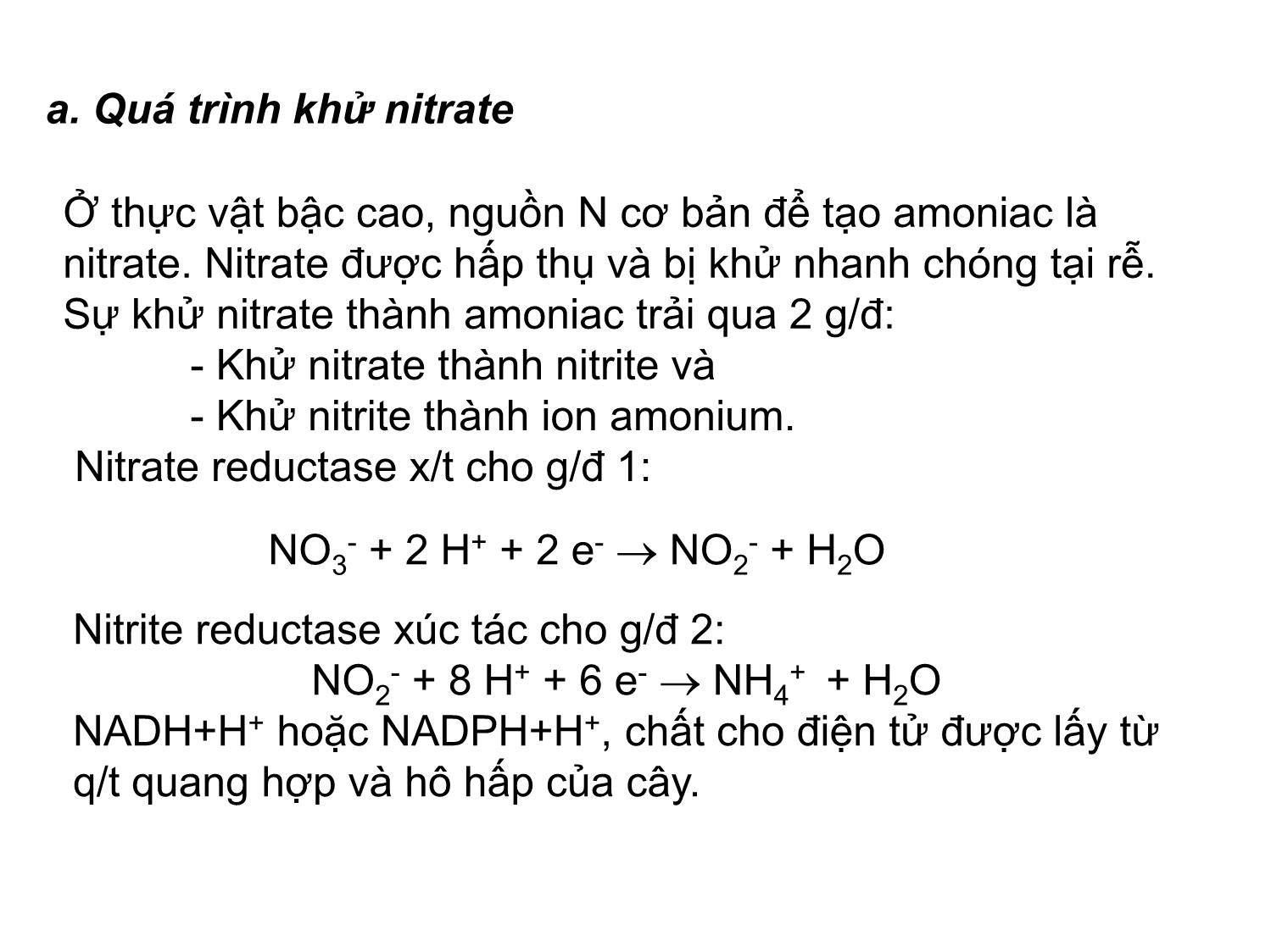 Bài giảng Hóa sinh đại cương - Chương 5: Trao đổi protein và acid amin trang 5