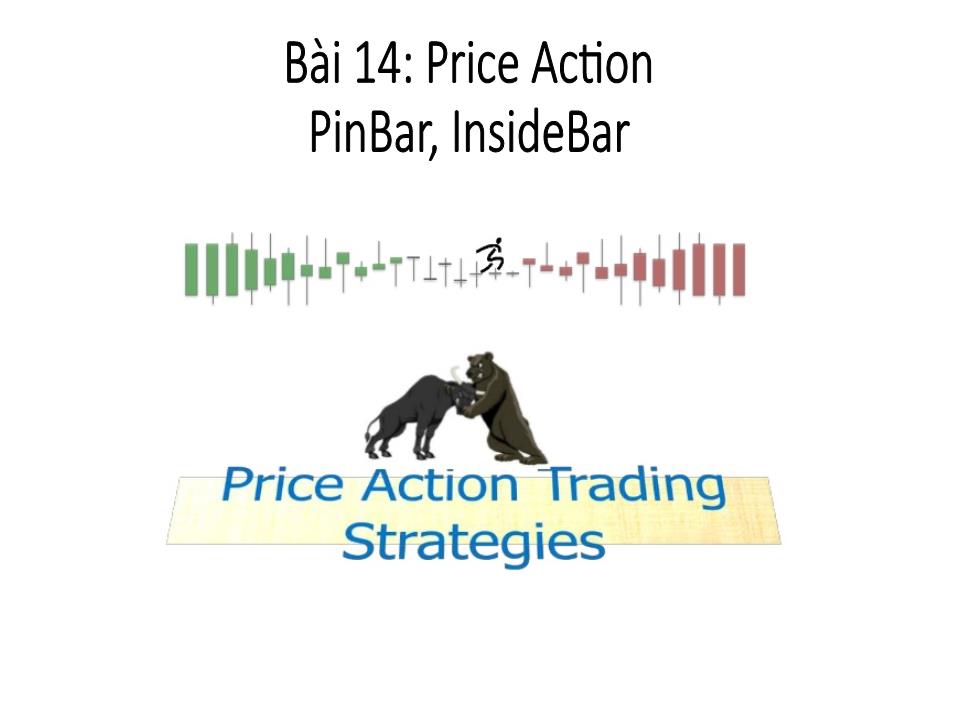 Bài giảng Bí mật Pro Forex - Bài 14: Price Action PinBar, InsideBar trang 1