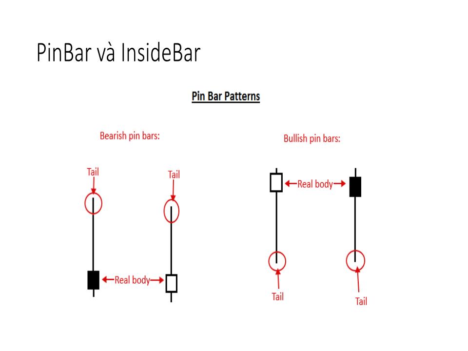 Bài giảng Bí mật Pro Forex - Bài 14: Price Action PinBar, InsideBar trang 5