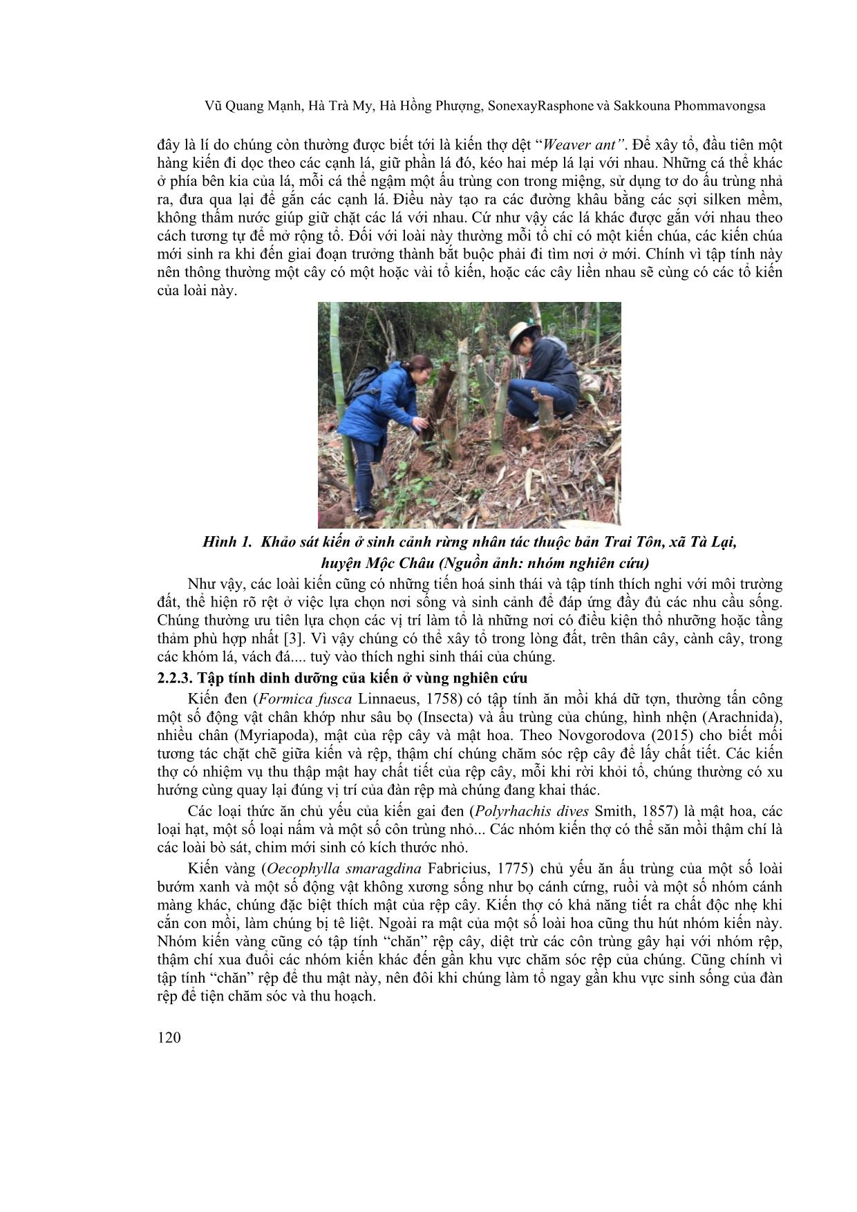Bước đầu nghiên cứu kiến (Hymenoptera: Formicidae) món ăn đặc sản truyền thống ở cao nguyên Mộc Châu, tỉnh Sơn La trang 4