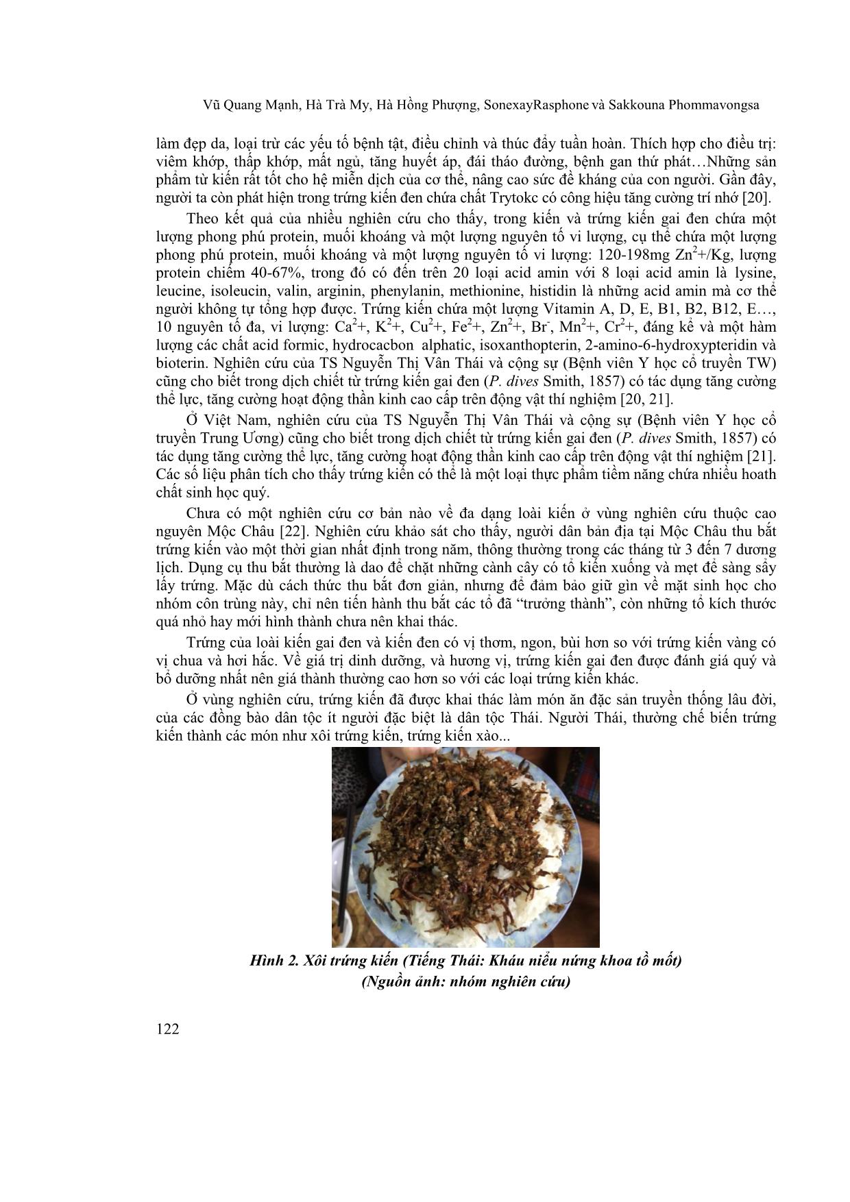 Bước đầu nghiên cứu kiến (Hymenoptera: Formicidae) món ăn đặc sản truyền thống ở cao nguyên Mộc Châu, tỉnh Sơn La trang 6