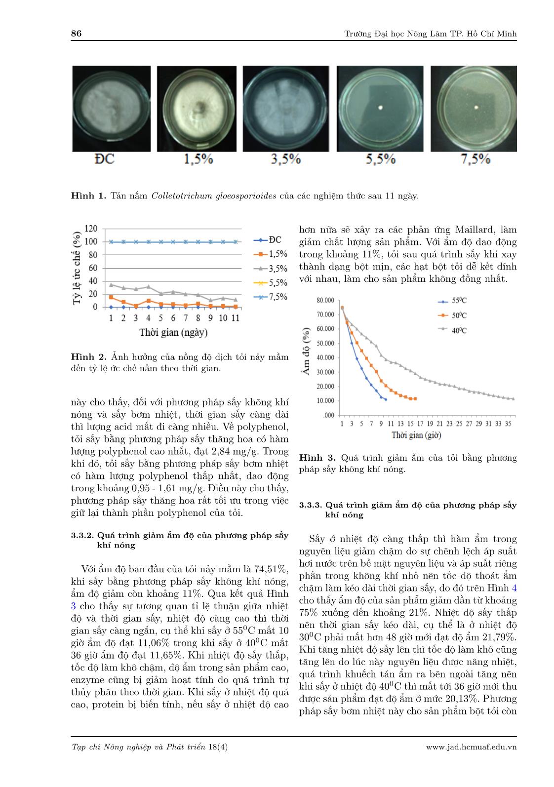 Nghiên cứu quy trình chế biến bột mầm tỏi từ tỏi Phan Rang trang 6