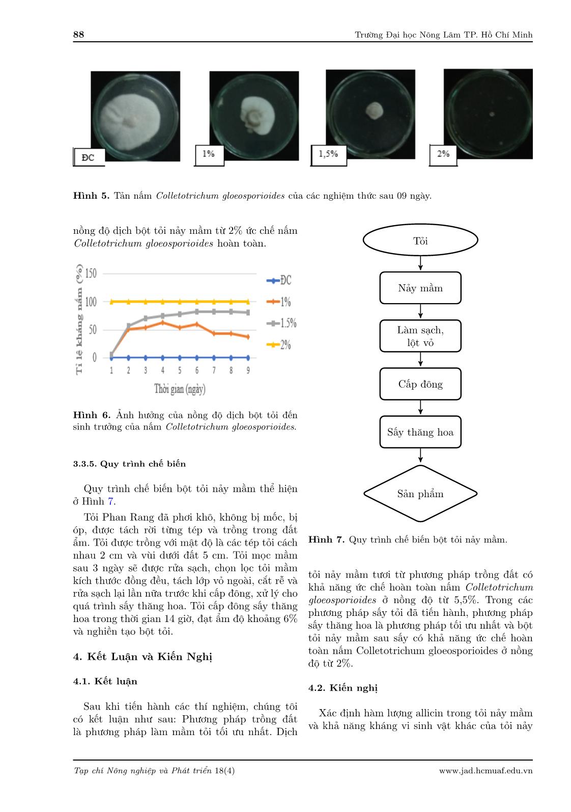 Nghiên cứu quy trình chế biến bột mầm tỏi từ tỏi Phan Rang trang 8