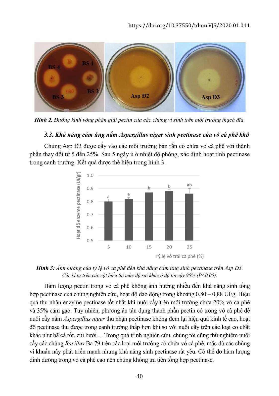 Tận dụng lớp nhớt trái cà phê để nuôi cấy vi sinh thu nhận enzyme pectinase làm trong rượu vang trang 7