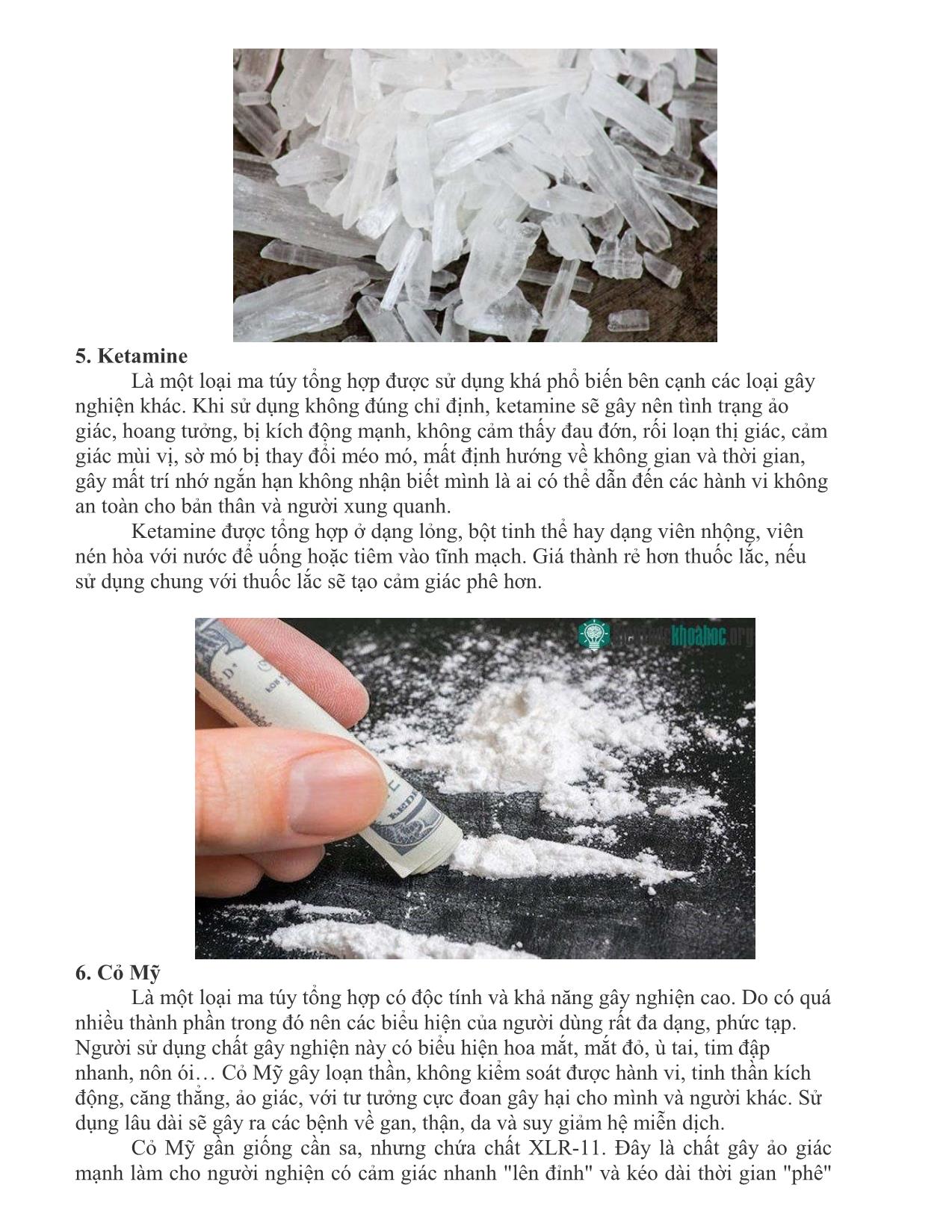 Các chất ma túy gây nghiện tại Việt Nam trang 4