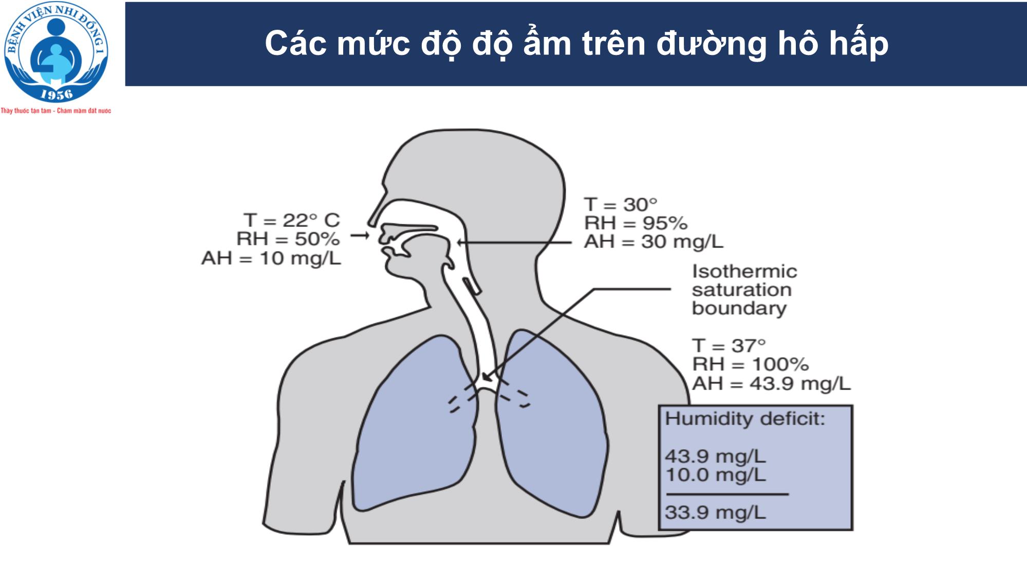 Cung cấp oxy lưu lượng thấp không làm ẩm cho bệnh nhi viêm phổi tại khoa nội tổng quát trang 5