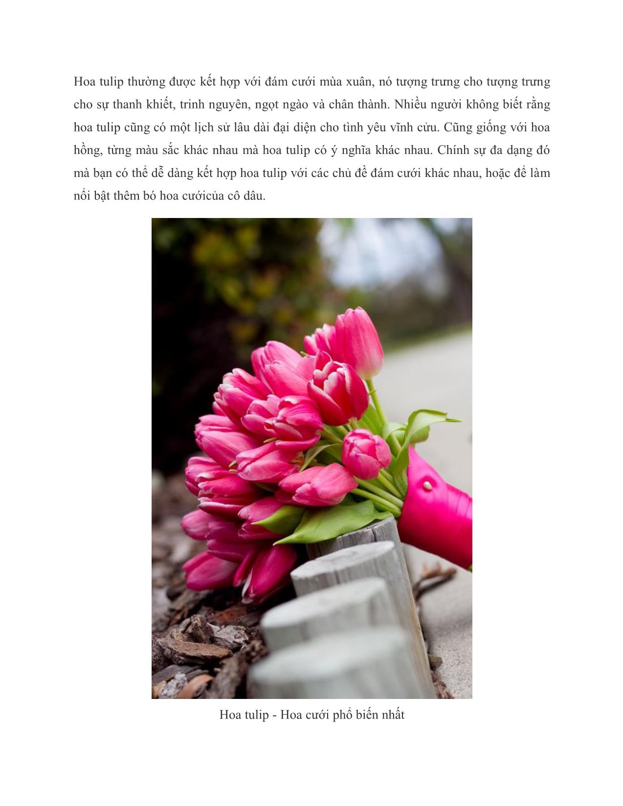 Ý nghĩa các loại hoa cưới trang 3