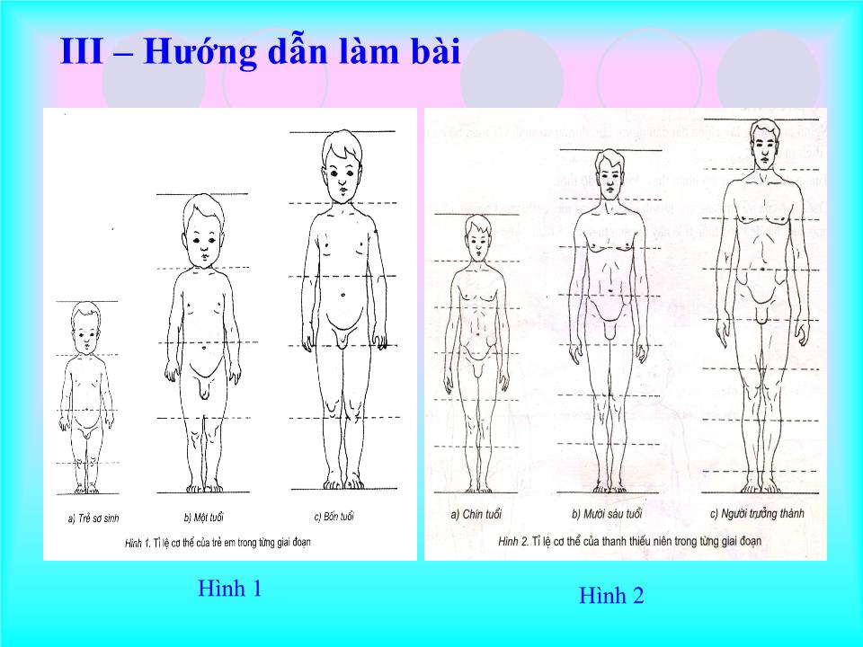 Bài 26: Vẽ theo mẫu Giới thiệu tỷ lệ cơ thể người trang 10