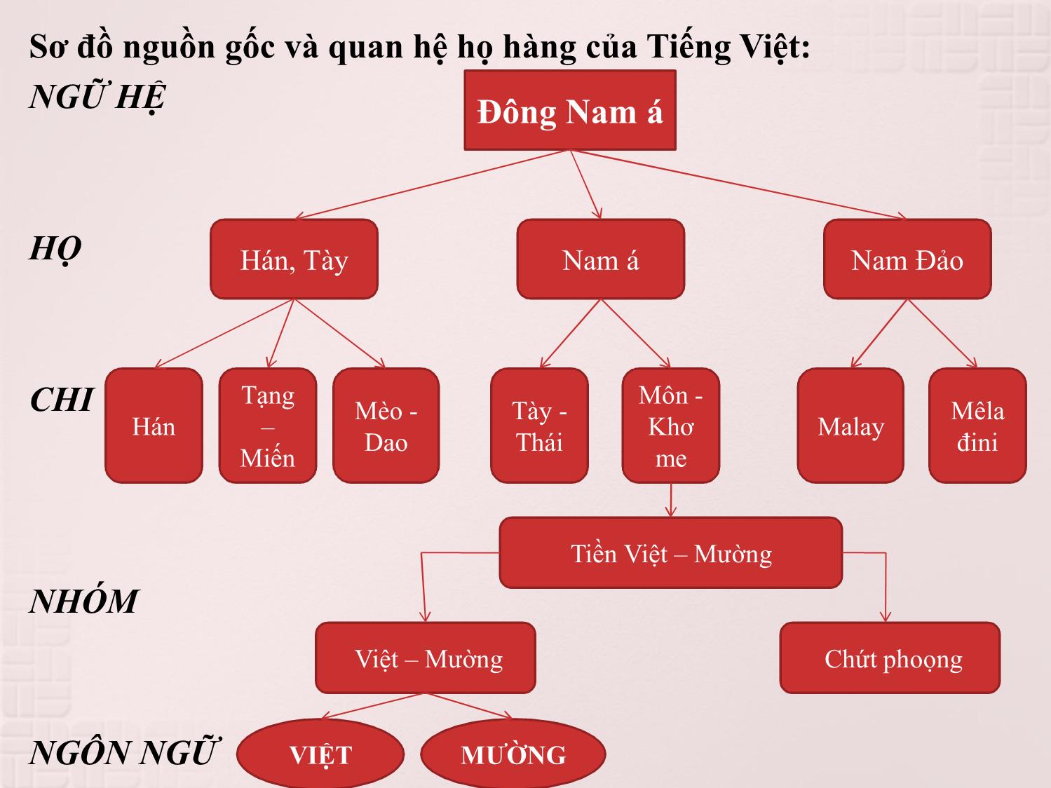 Bài giảng Tiếng Việt và bộ môn Tiếng Việt thực hành trang 7