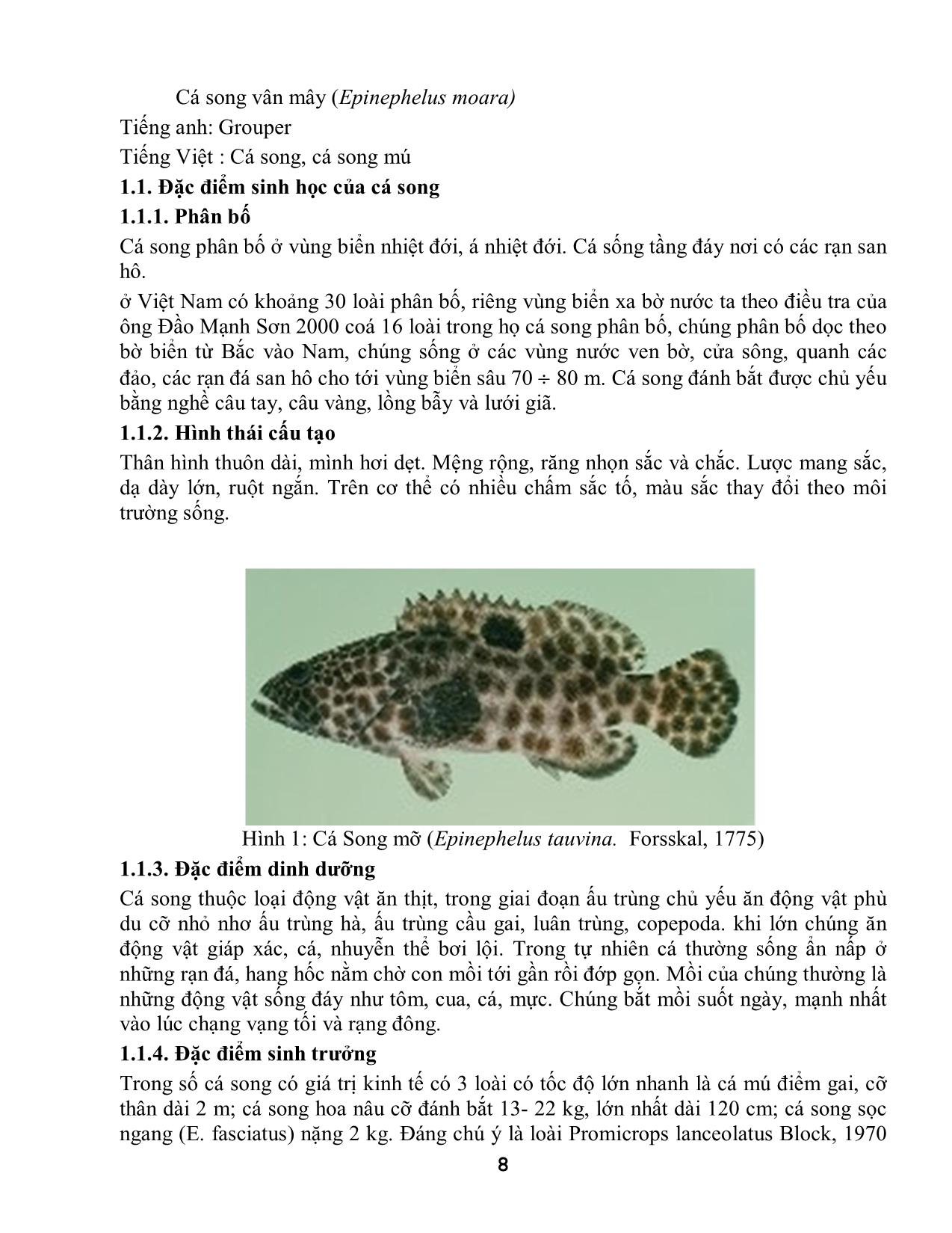 Bài giảng Sản xuất giống và nuôi cá biển trang 8