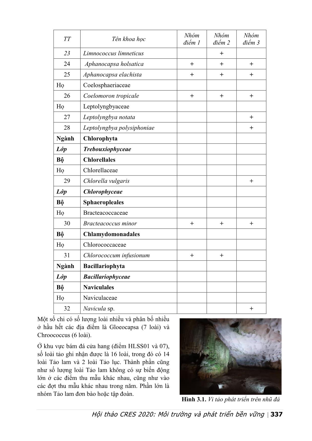 Đánh giá sự phát triển của vi tảo dưới tác động của ánh sáng đèn tại hang Sửng sốt, vịnh Hạ Long, tỉnh Quảng Ninh trang 6