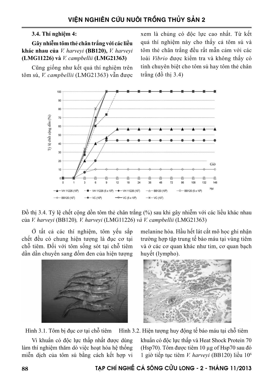 Độc lực của các chủng vibrio đối với tôm sú và tôm thẻ chân trắng trang 6