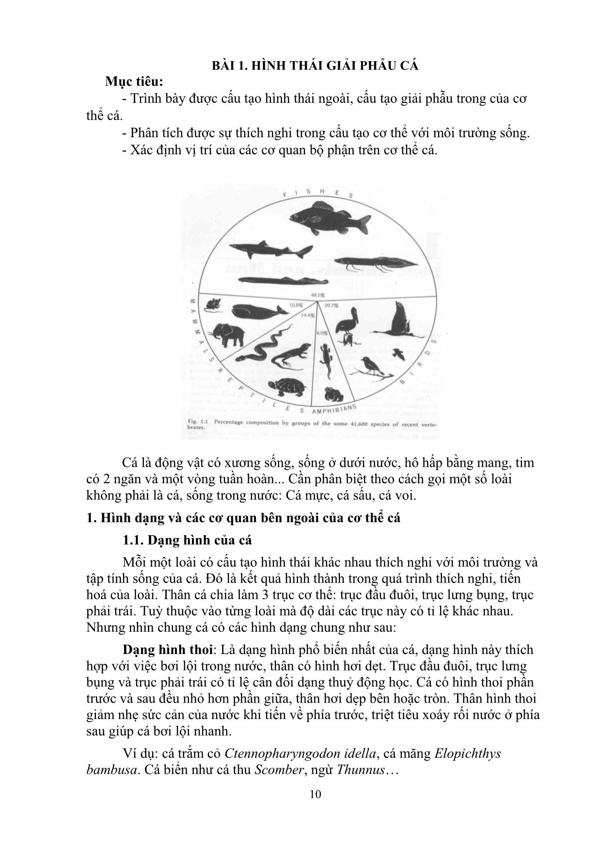 Giáo trình Phân loại động vật thủy sản trang 10