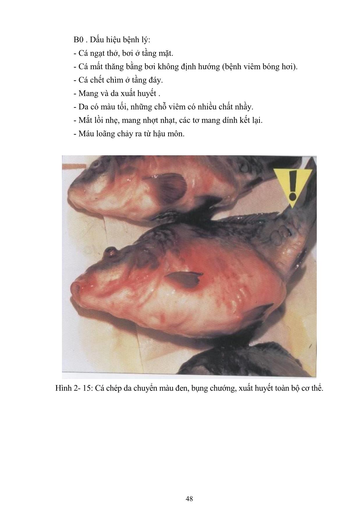 Giáo trình Nuôi cá và đặc sản nước ngọt - Bài 5: Bệnh truyền nhiễm ở động vật thủy sản trang 2
