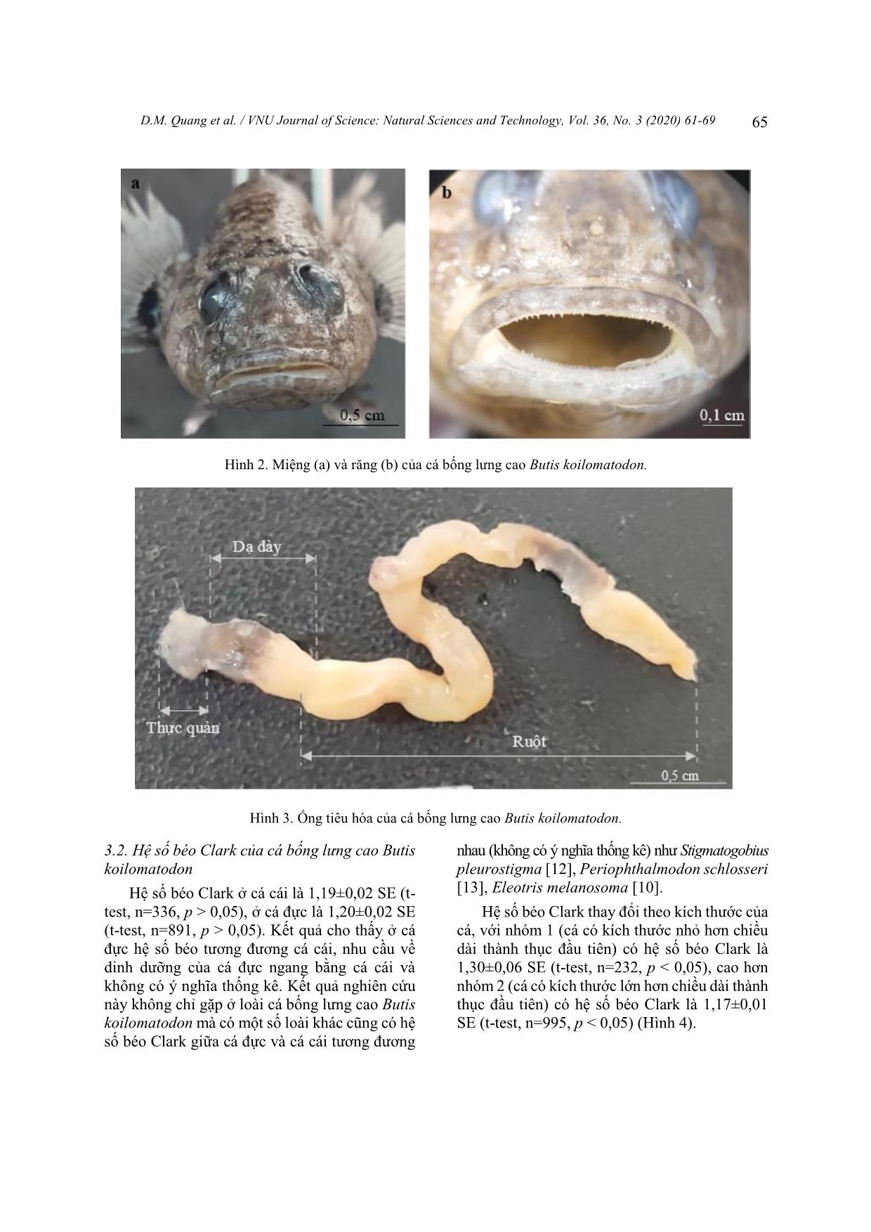 The digestive tract morphology and clark index of mud sleeper butis koilomatodon living in some coastal and estuarine areas belonging to Tra vinh, Soc trang, bac lieu and Ca Mau trang 5