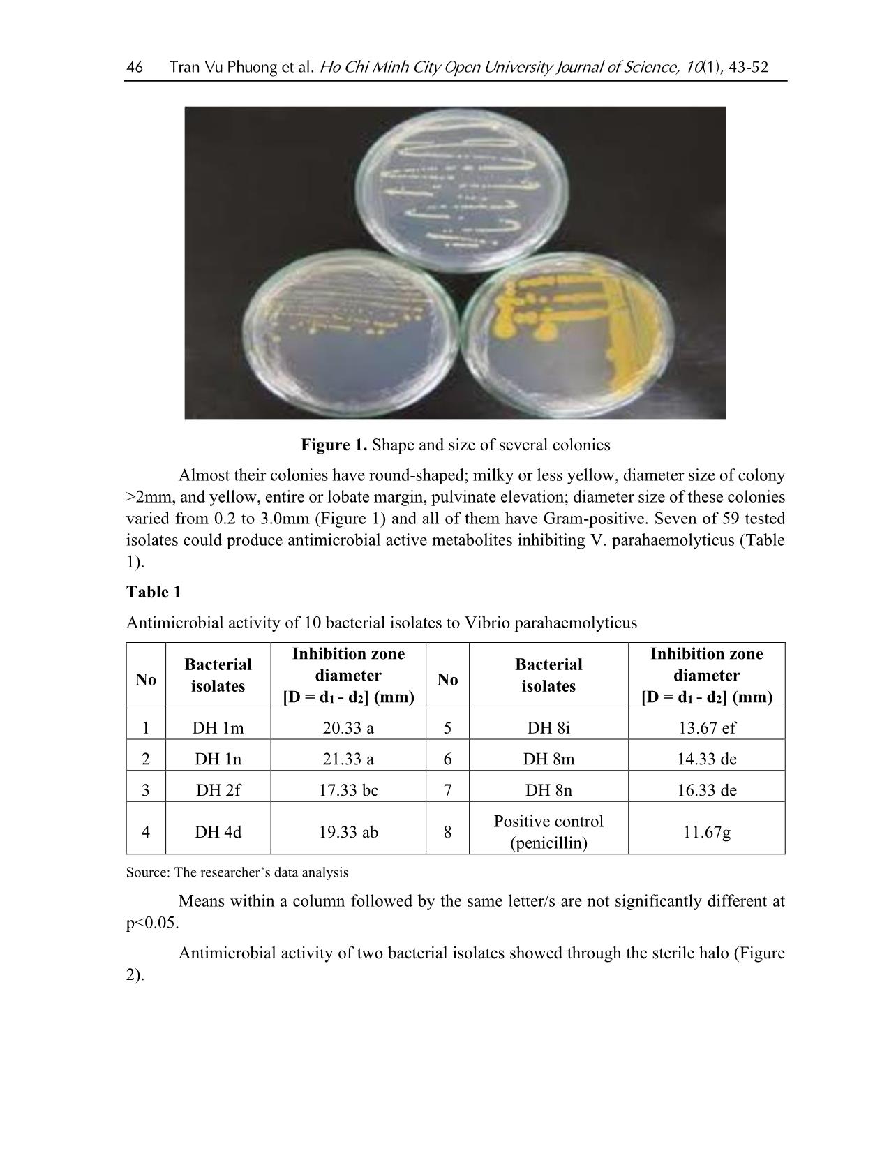 Isolation and selection of bacteria against shrimp pathogenic vibrio parahaemolyticus from shrimp pond water on Duyen Hai district, Tra Vinh province trang 4
