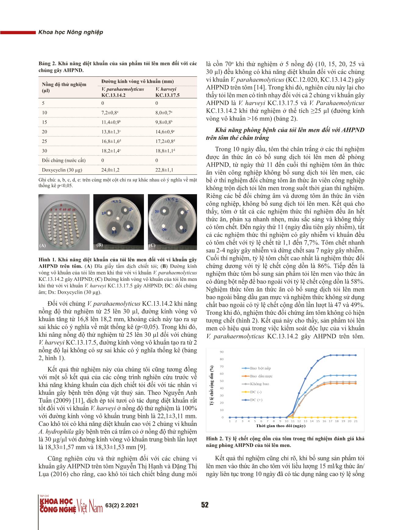 Khả năng kháng khuẩn và phòng bệnh hoại tử gan tụy cấp ở tôm thẻ chân trắng (Penaeus vannamei) của tỏi (Allum sativum) lên men trang 4