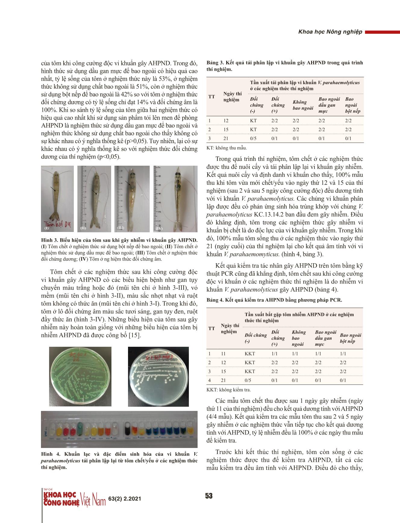 Khả năng kháng khuẩn và phòng bệnh hoại tử gan tụy cấp ở tôm thẻ chân trắng (Penaeus vannamei) của tỏi (Allum sativum) lên men trang 5