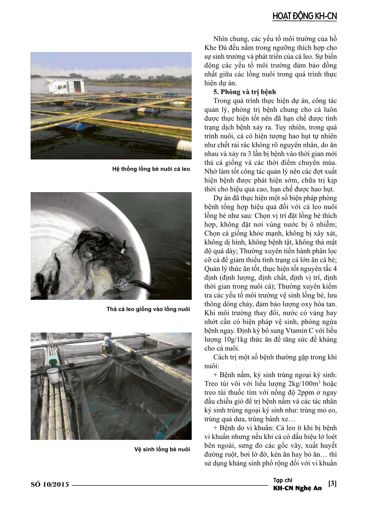 Mô hình nuôi thương phẩm cá leo trong lồng bè trên thủy vực lớn tại nghệ An trang 3