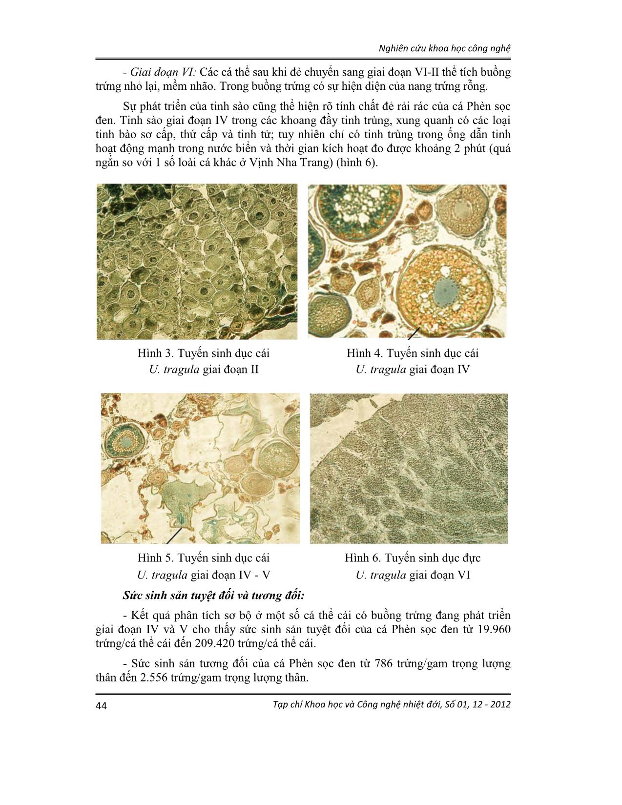 Một số đặc điểm sinh học sinh sản của cá phèn sọc đen (upeneus tragula richardson, 1846) vùng biển Nha Trang trang 4
