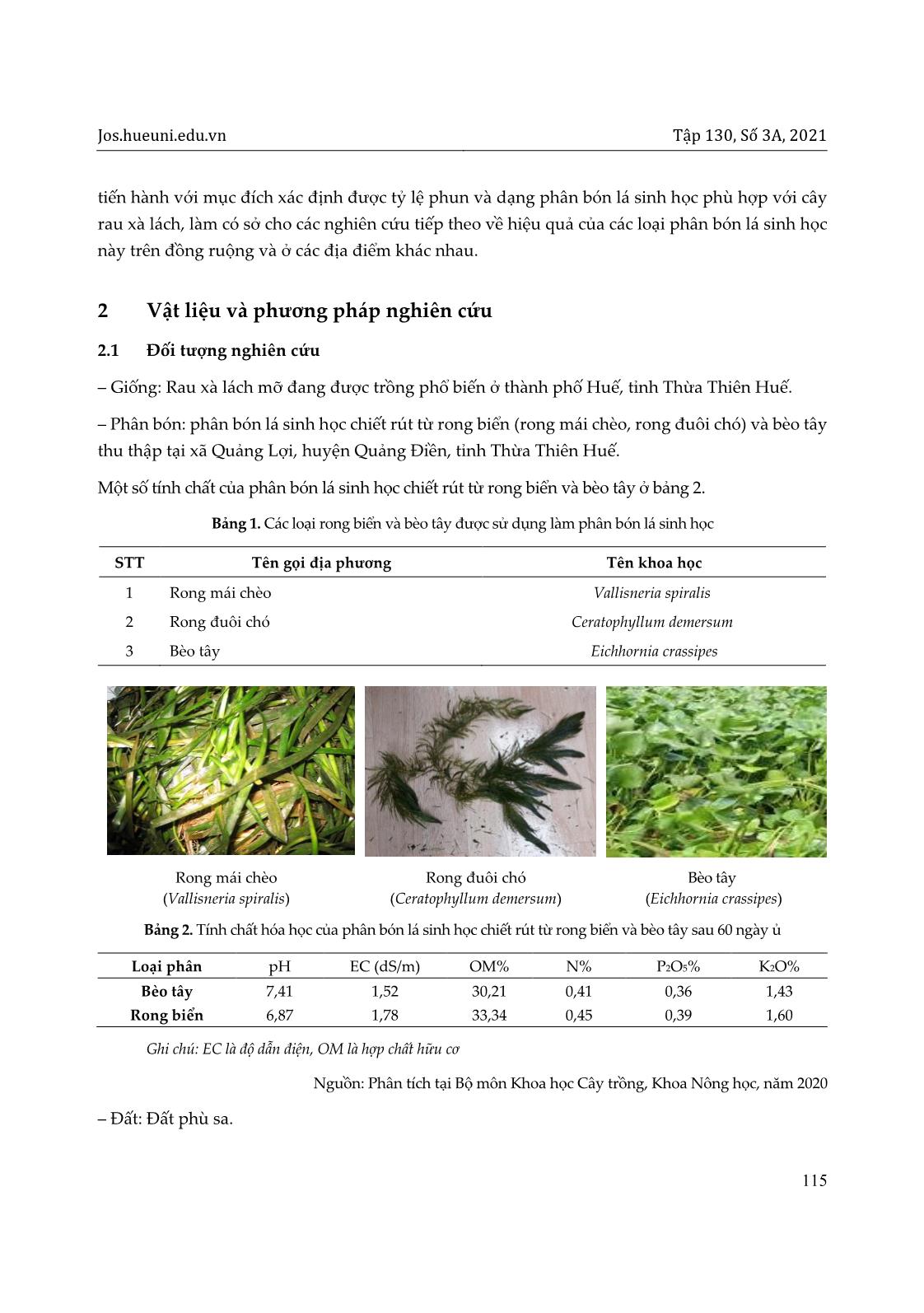 Nghiên cứu ảnh hưởng của tỷ lệ phun phân bón lá sinh học từ rong biển và bèo tây đến cây rau xà lách tại thành phố Huế, tỉnh Thừa Thiên Huế trang 3