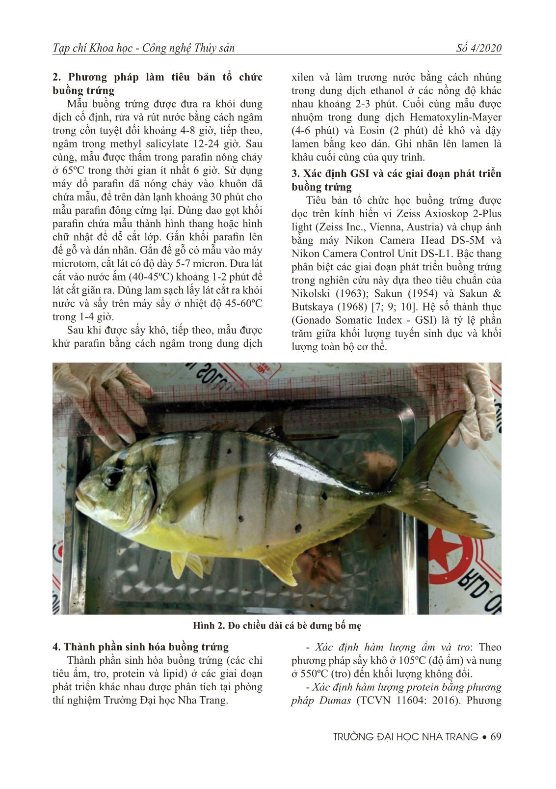 Nghiên cứu đặc điểm sinh học buồng trứng cá bè đưng trang 3