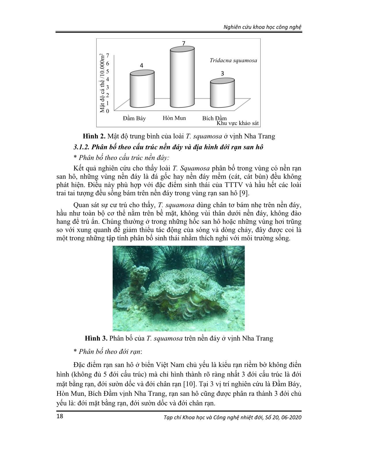 Phân bố trai tai tượng vảy (tridacna squamosa lamarck, 1819) trên rạn san hô vịnh Nha Trang và kết quả bước đầu nuôi thử nghiệm ở đầm báy trang 4