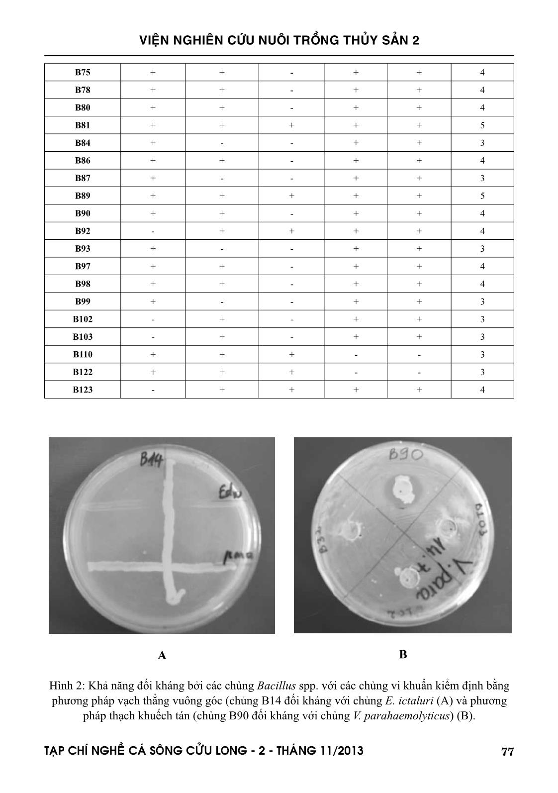 Phân lập và khảo sát đặc tính probiotic của các chủng bacillus spp. từ môi trường ao nuôi cá tra tại tỉnh Đồng Tháp trang 7