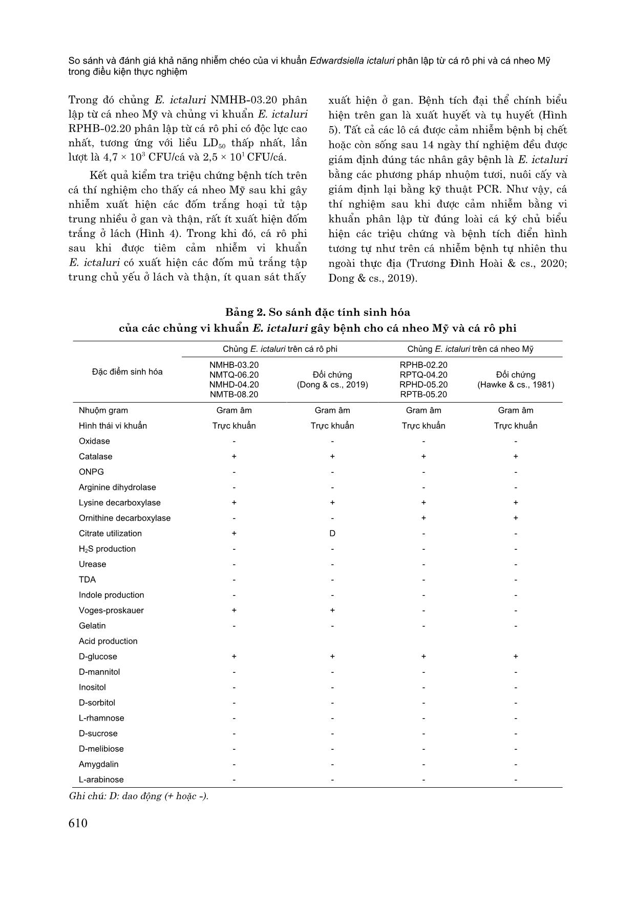 So sánh và đánh giá khả năng nhiễm chéo của vi khuẩn edwardsiella ictaluri phân lập từ cá rô phi và cá nheo mỹ trong điều kiện thực nghiệm trang 6