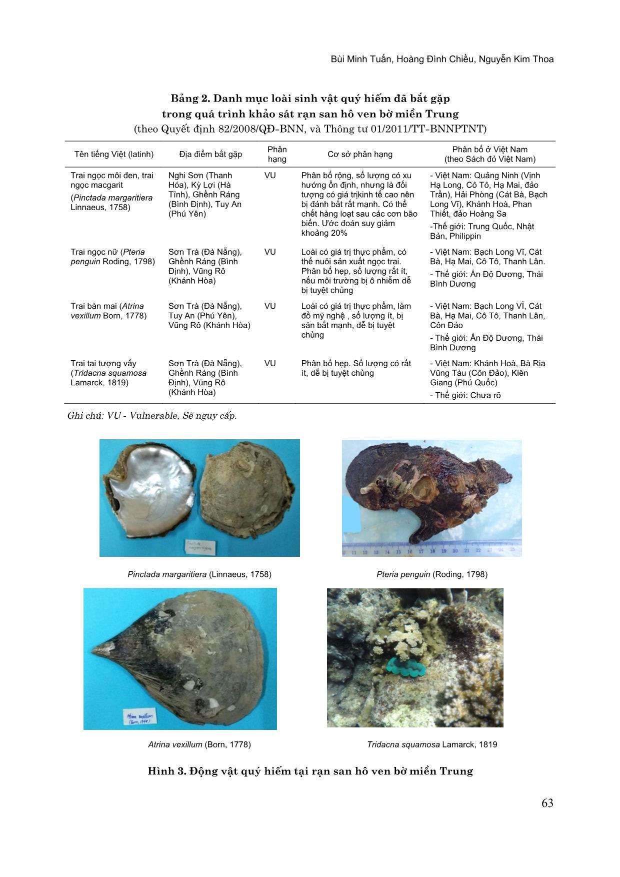 Thành phần loài lớp thân mềm hai mảnh vỏ (bivalvia) ghi nhận trong rạn san hô ven bờ miền trung Việt Nam trang 6
